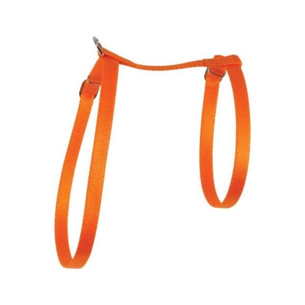 زولكس صدرية نايلون للقطط 10مم برتقالي – متجر باندا