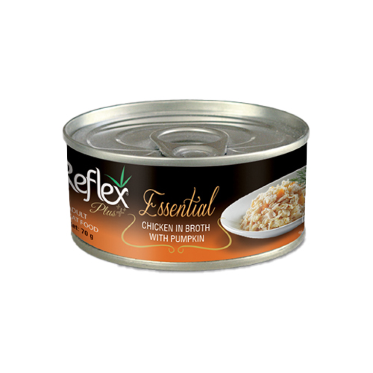 ريفليكس دجاج في مرق بالقرع