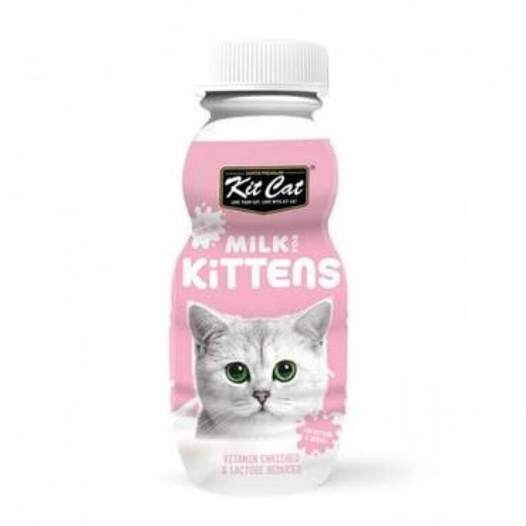 حليب كيت كات للقطط الصغيرة
