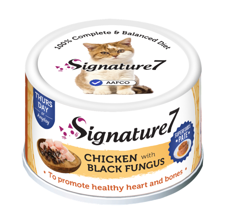 سجنتشير 7 اكل رطب قطط دجاج مع الفطر الاسود 80 جرام