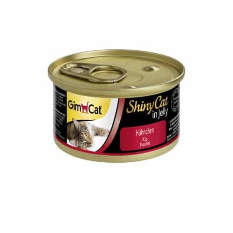 جيم كات طعام رطب للقطط الصغيرة بقطع الدجاج في الجيلي 70 جم