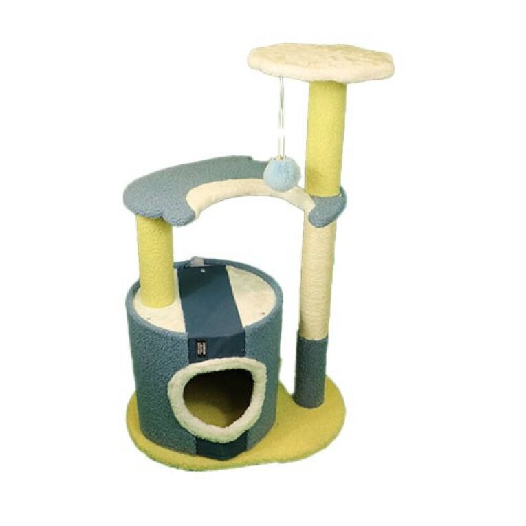 خداشه قطط 800058