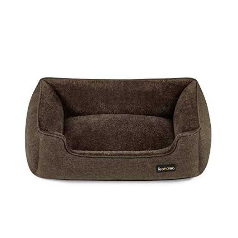 فرشات FEANDREA F PGW10CC