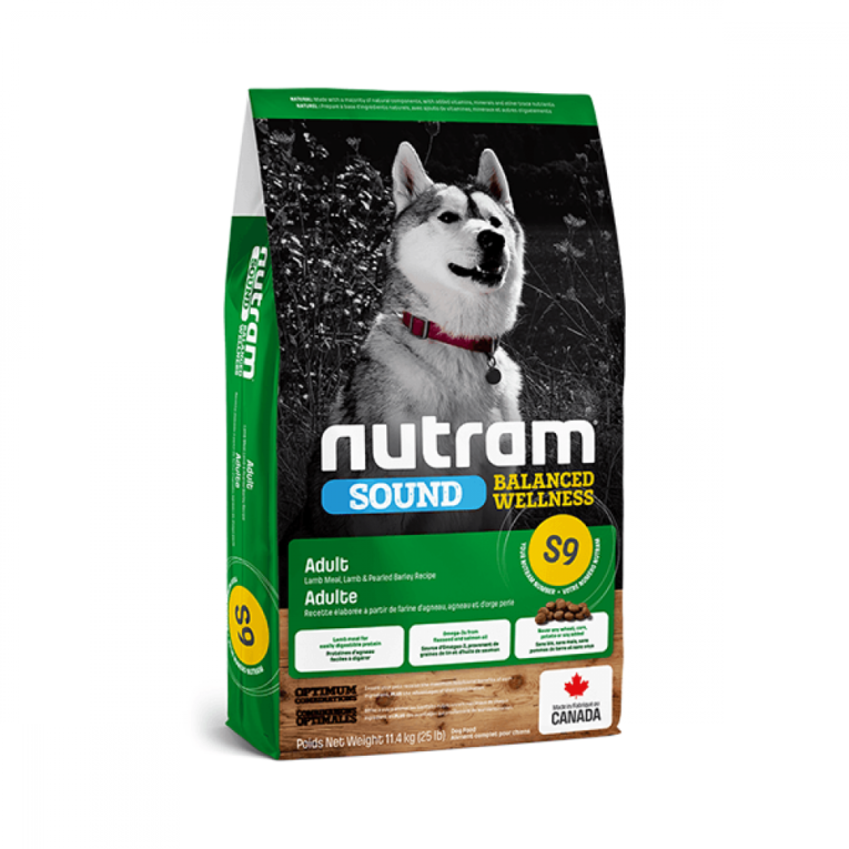 نوترام S9 طعام جاف للكلاب البالغة